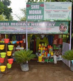 Shri Mohan Nursery