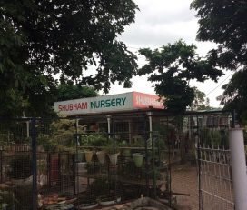 Shubham Nursery