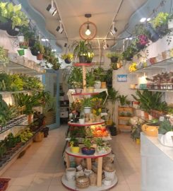 The Garden Shop