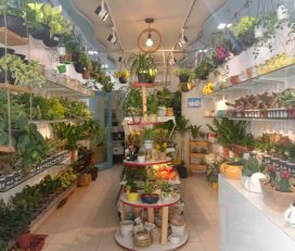 The Garden Shop