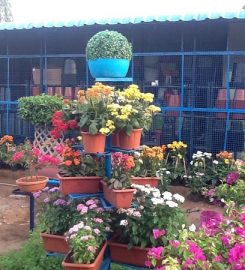 Karuna Nursery Garden