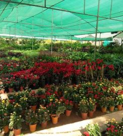 Sundarvan Garden Nursery And Farm
