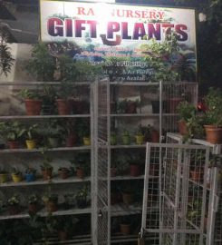 Raj Nursery Gift Plants