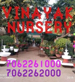 Vinayak Nursery