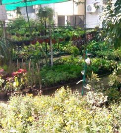 Sanvi Garden Nursery