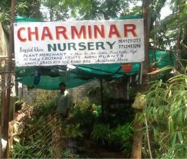 Charminar Nursery