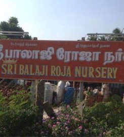 Sri Balaji Rose Nursery