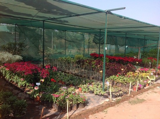  best plant nursery in bhopal