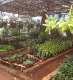 Bhavans Plant Nursery