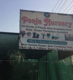 Pooja Nursery