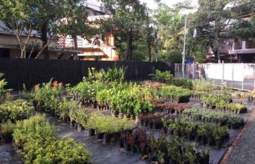Bhima Gardens