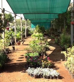 Shreenathji Garden and Nursery