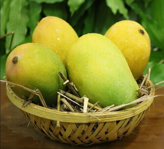15 Best Mango Variety in India You Got to Eat Once • India Gardening
