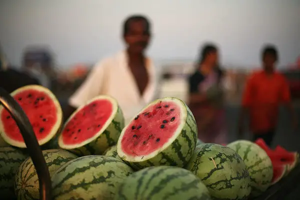 17 Best Summer Fruits In India List Of Summer Fruits India Gardening