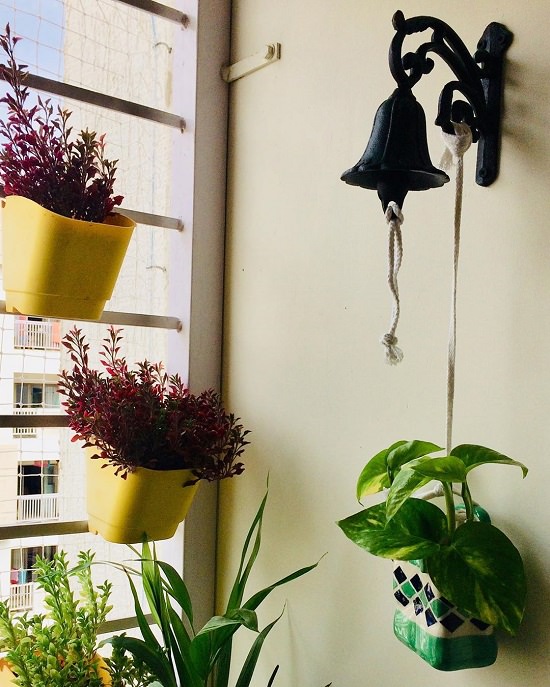  Beautiful Indian Balcony Garden Ideas India Gardening - Hanging Plants For Balcony In Hindi