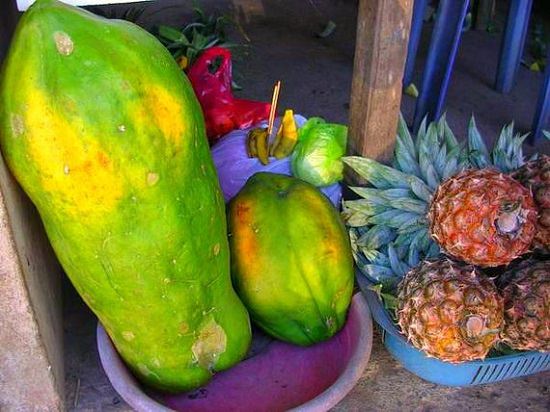 Varieties of Papaya in India 2