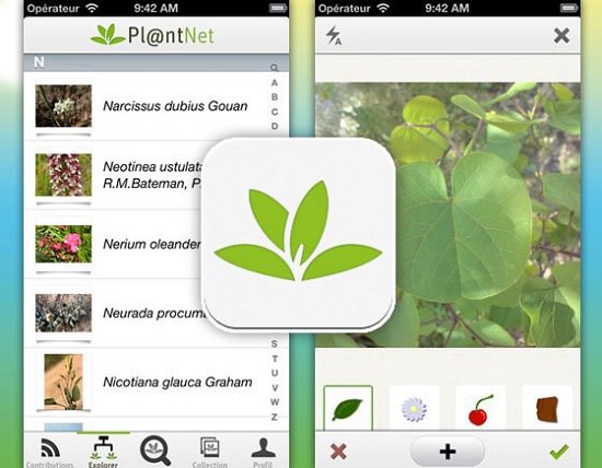 9 Helpful Plant Identification Apps for Budding Botanists - Garden and Happy