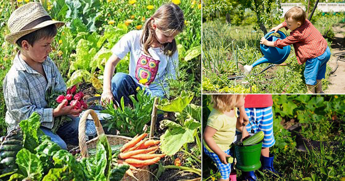 How to Make a Kids Veggie Garden in India • India Gardening