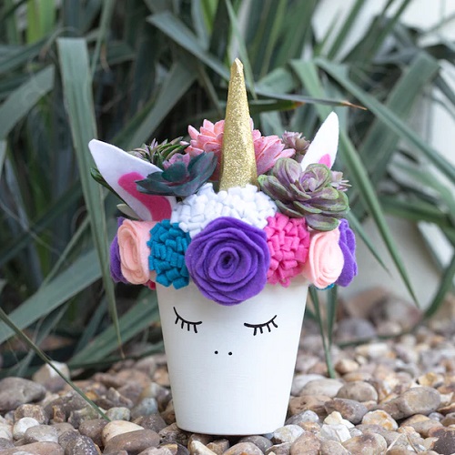 Succulent Indoor Planter Ideas 17