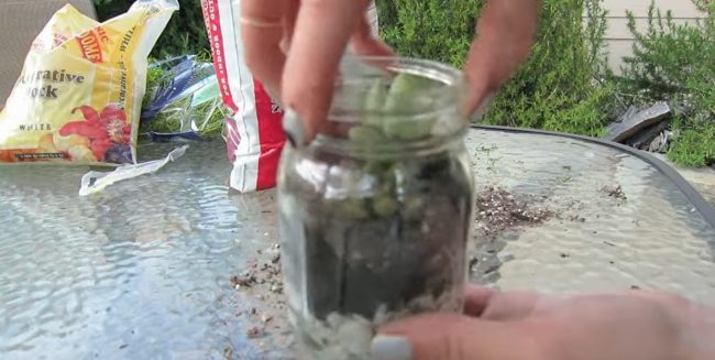 Succulents in Mason Jar 6