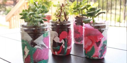 Succulents in Mason Jar 5