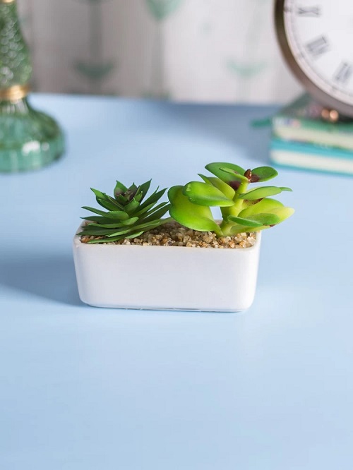 Succulent Indoor Planter Ideas 15