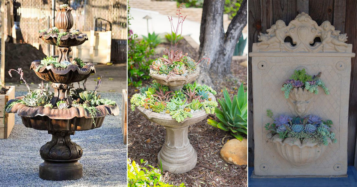 10 Beautiful Succulent Fountain Ideas