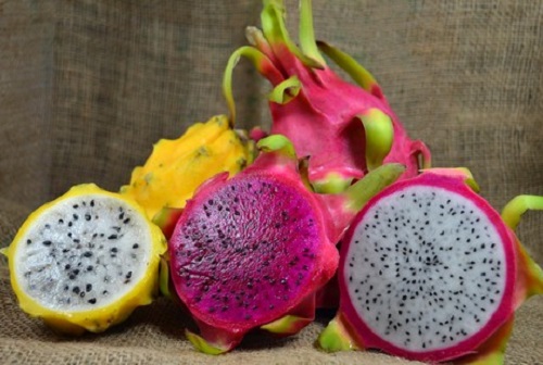 4 Best Types of Dragon Fruit in India • India Gardening