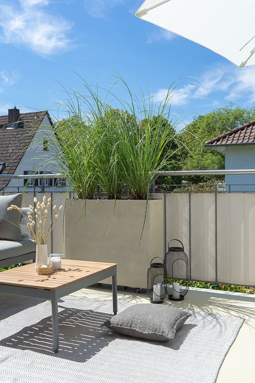 Beautiful Lemongrass balcony garden