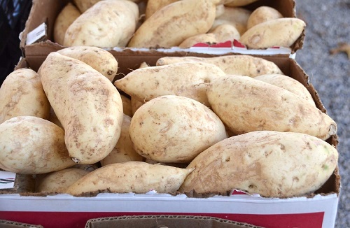 White Color Vegetables 3