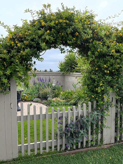 Yellow Flower Creepers 4