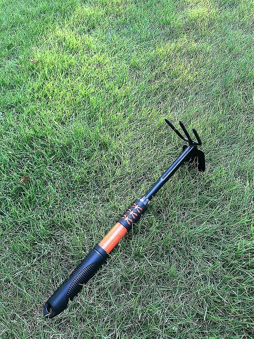 Gardening Tools In Garden 2