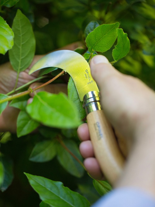 Pruning Knife