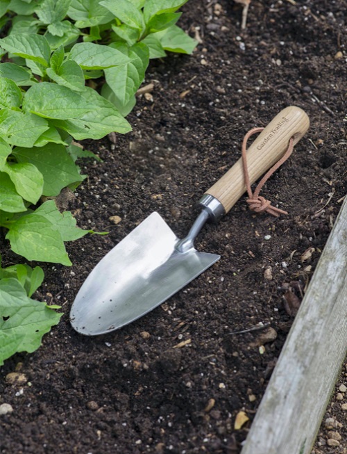 Gardening Tools In Garden