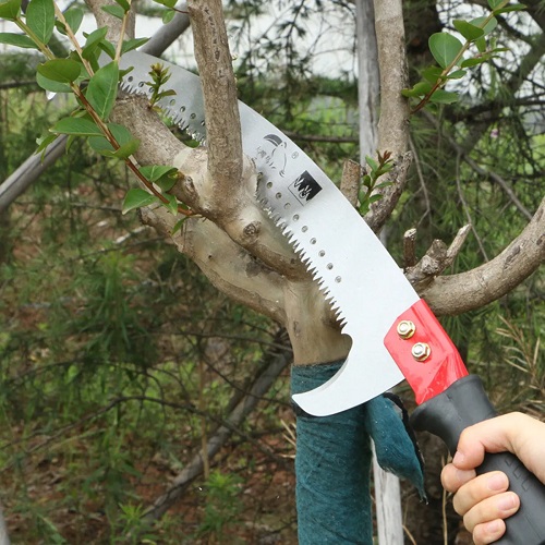 Gardening Tools In Garden