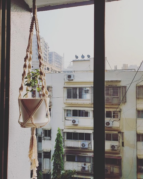 How to Decorate Tulsi Plant 4