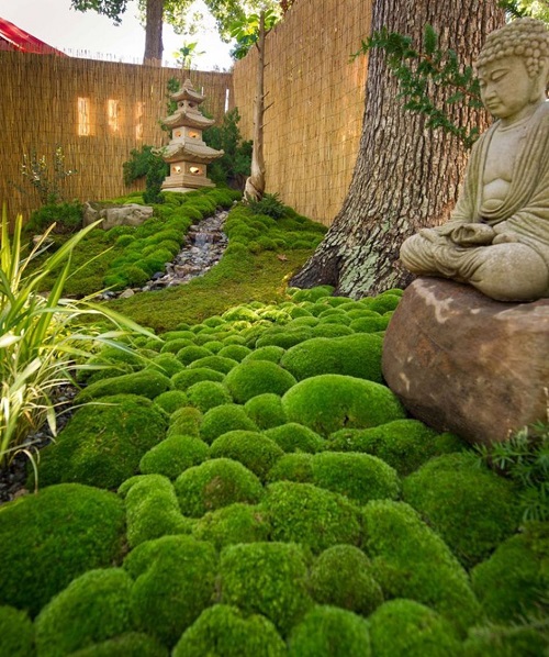 20 Small Corner Rock Garden Ideas 9