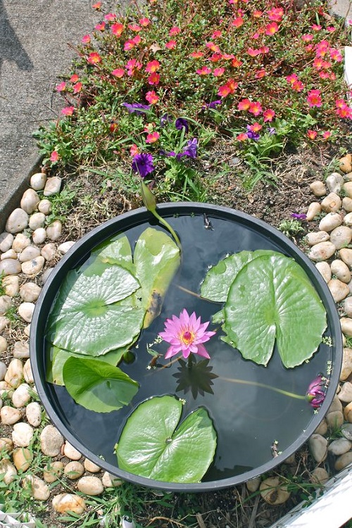 20 Small Garden Ideas Kerala 13