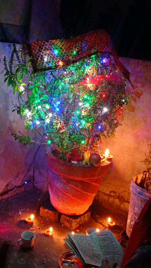 How to Decorate Tulsi Plant 2