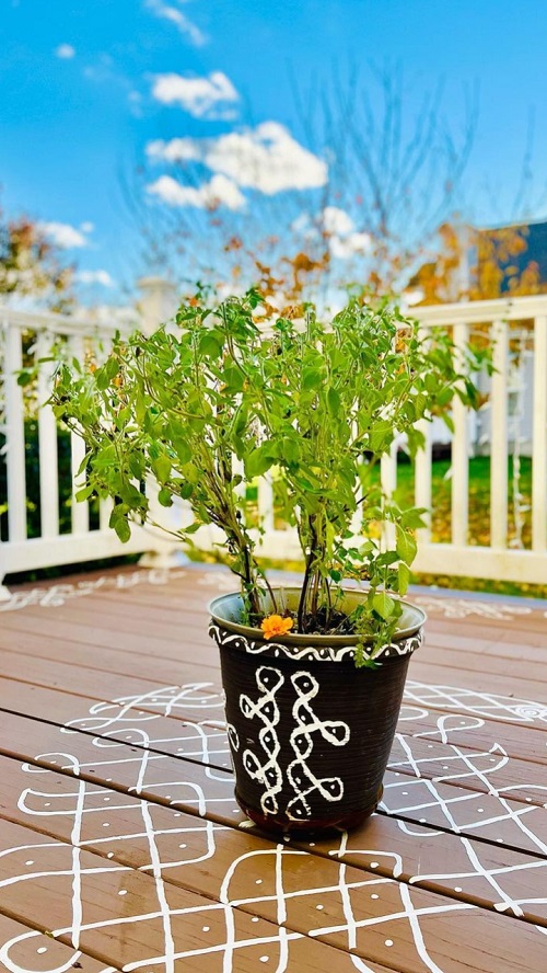 How to Decorate Tulsi Plant 7