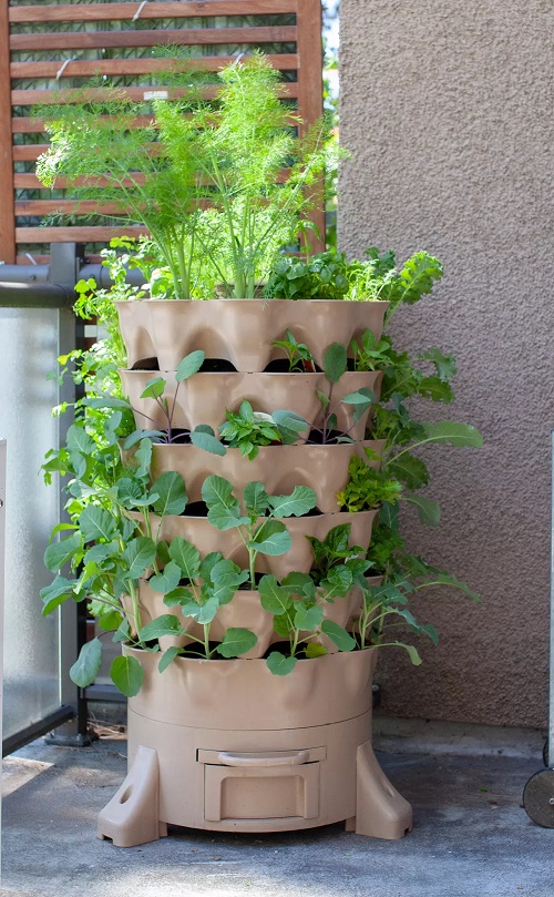 20 Small Garden Ideas Kerala 15