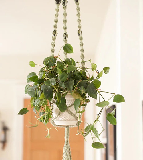 Macrame Wall Hanging Plant Ideas 11