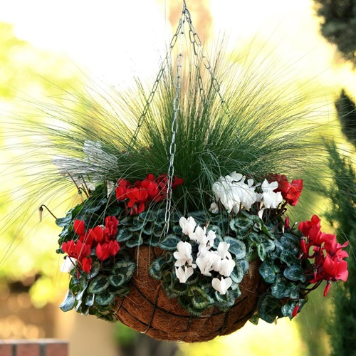 Moss Basket Hanger