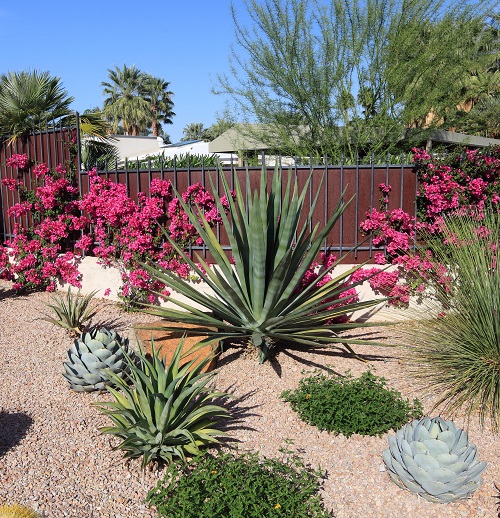 Smart Planting with Edimentals 1