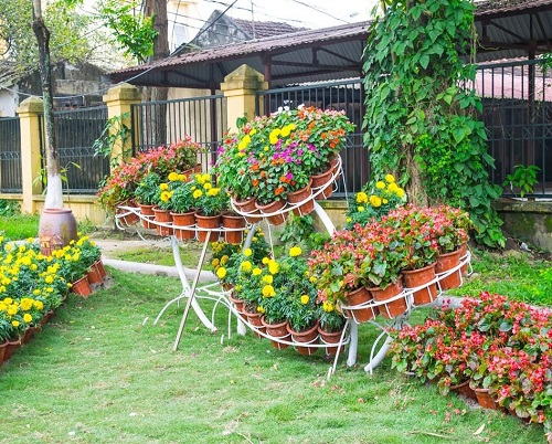 Dark and Bold Choices 