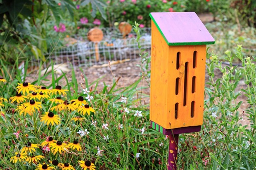 5-Step Butterfly House DIY