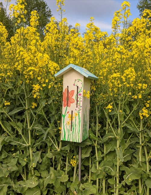 Cheap Butterfly House in the garden
