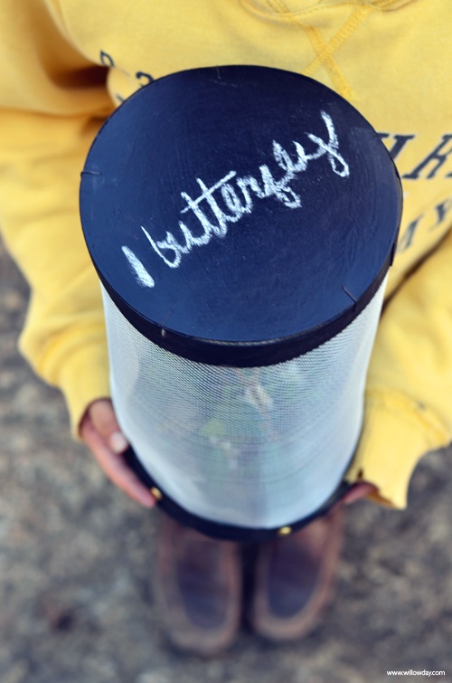 Simple Butterfly Home Butterfly House Ideas for the Garden