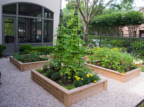 Raised Bed Garden